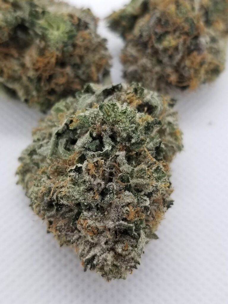 blue dream cannabis for sale usa
